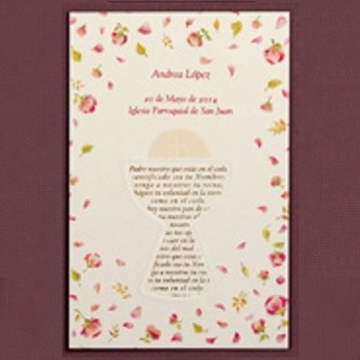 01.042.17971 - Imagen 1