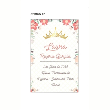 COMUN 12 - Recordatorio - Imagen 1