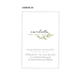 COMUN 29 - Recordatorio - Imagen 1