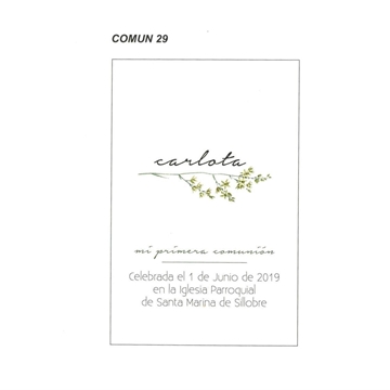 COMUN 29 - Recordatorio - Imagen 1