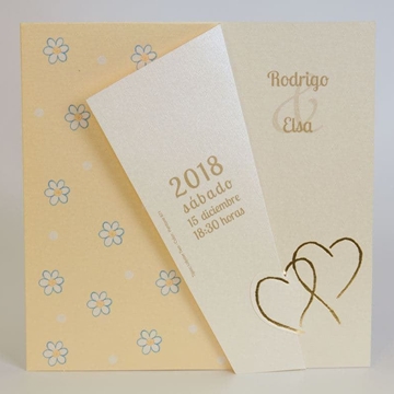 EDIMA ESENCIA - Imagen 1