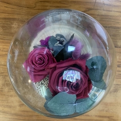 Flor seca - Imagen 2