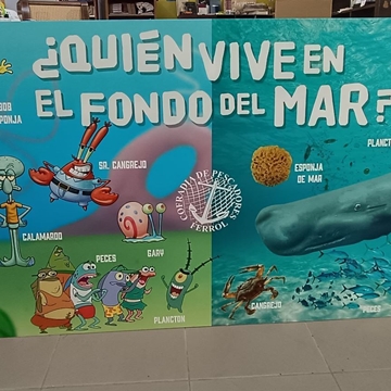 Panel impreso en forex - Imagen 2