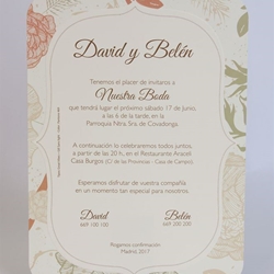 Ref. 100.703 - Imagen 1